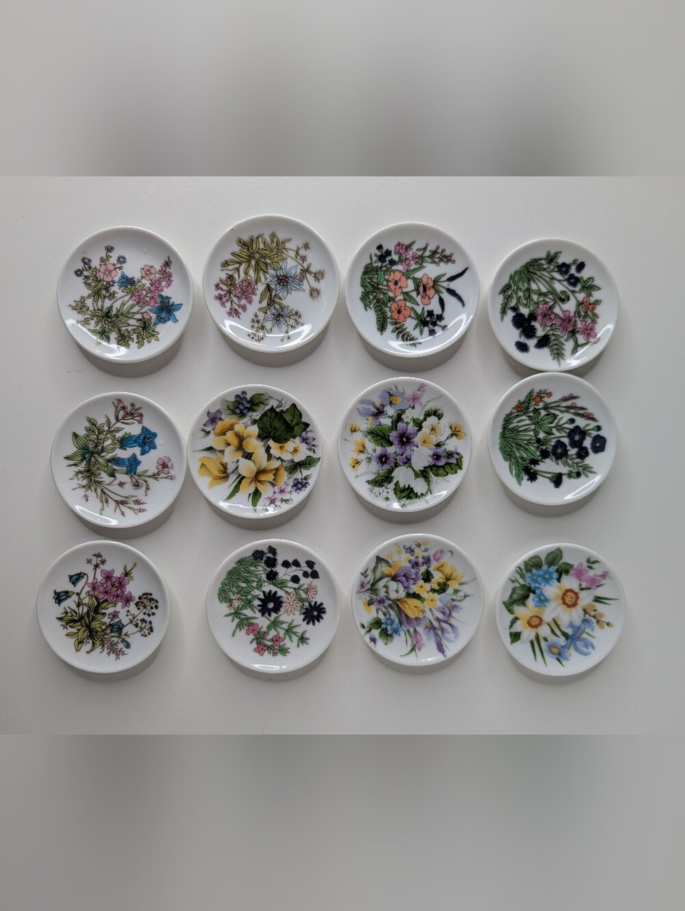 Mini Display Plates Beautiful Floral Motif Set Of 12